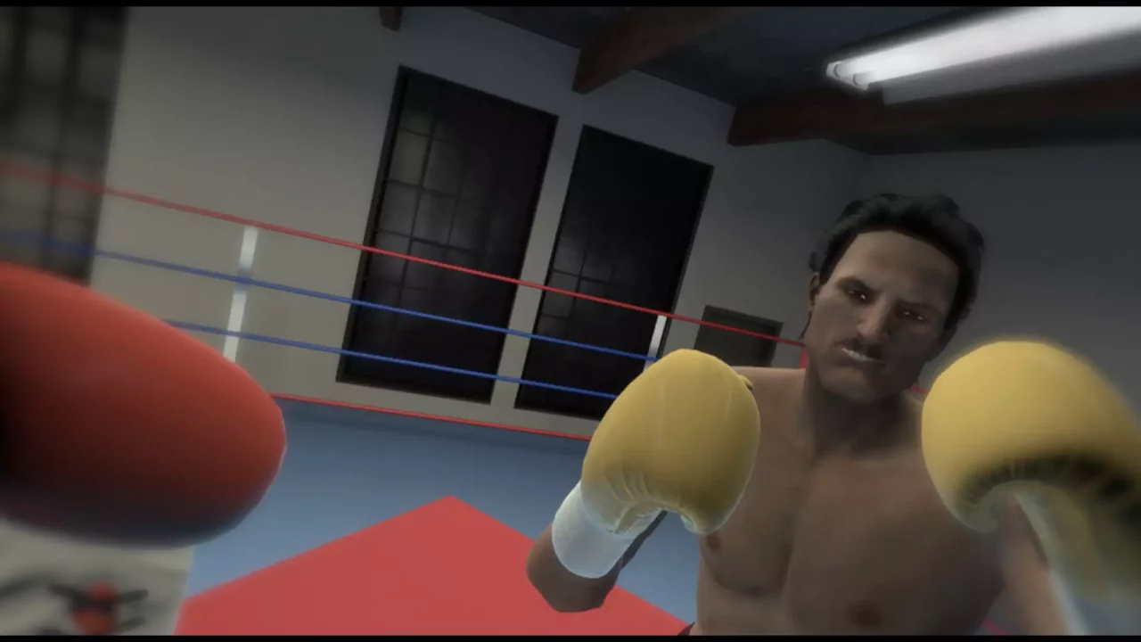 -The Thrill of the Fight - VR Boxing-游戏截图-好玩游戏库