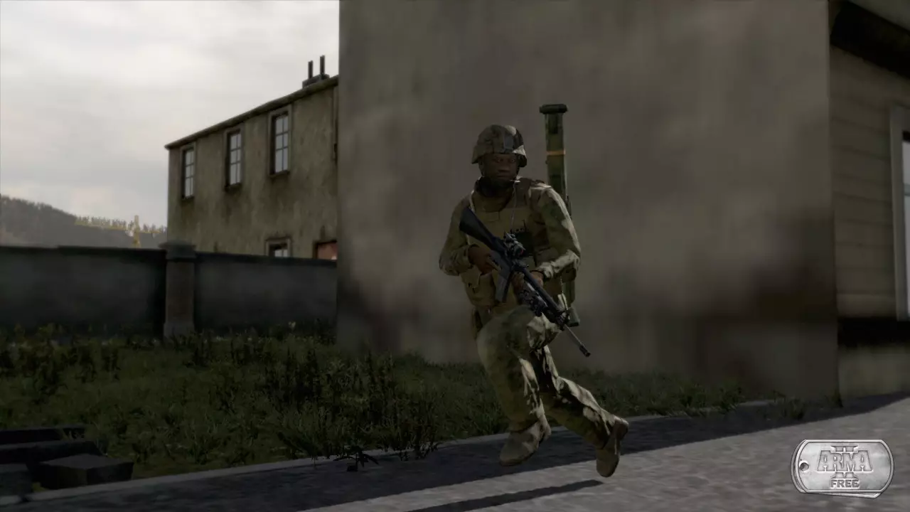 -ArmA II: Free-游戏截图-好玩游戏库