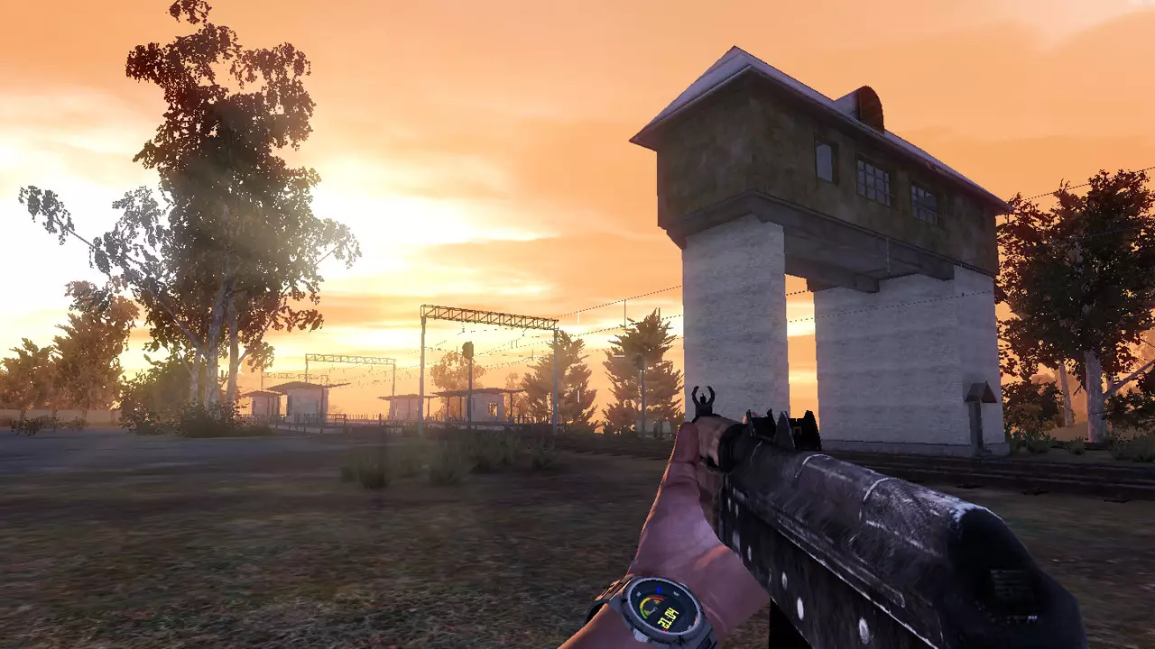 Sunrise: survival