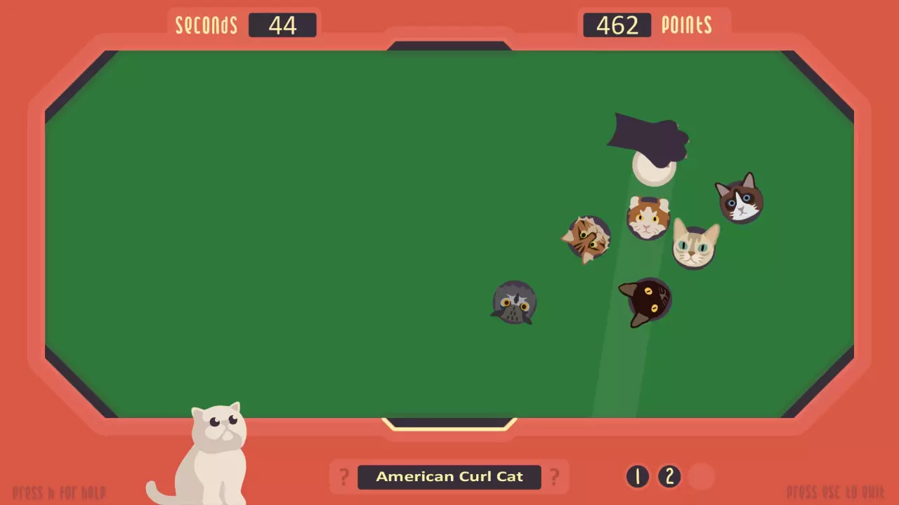 -The Cat Games-游戏截图-好玩游戏库