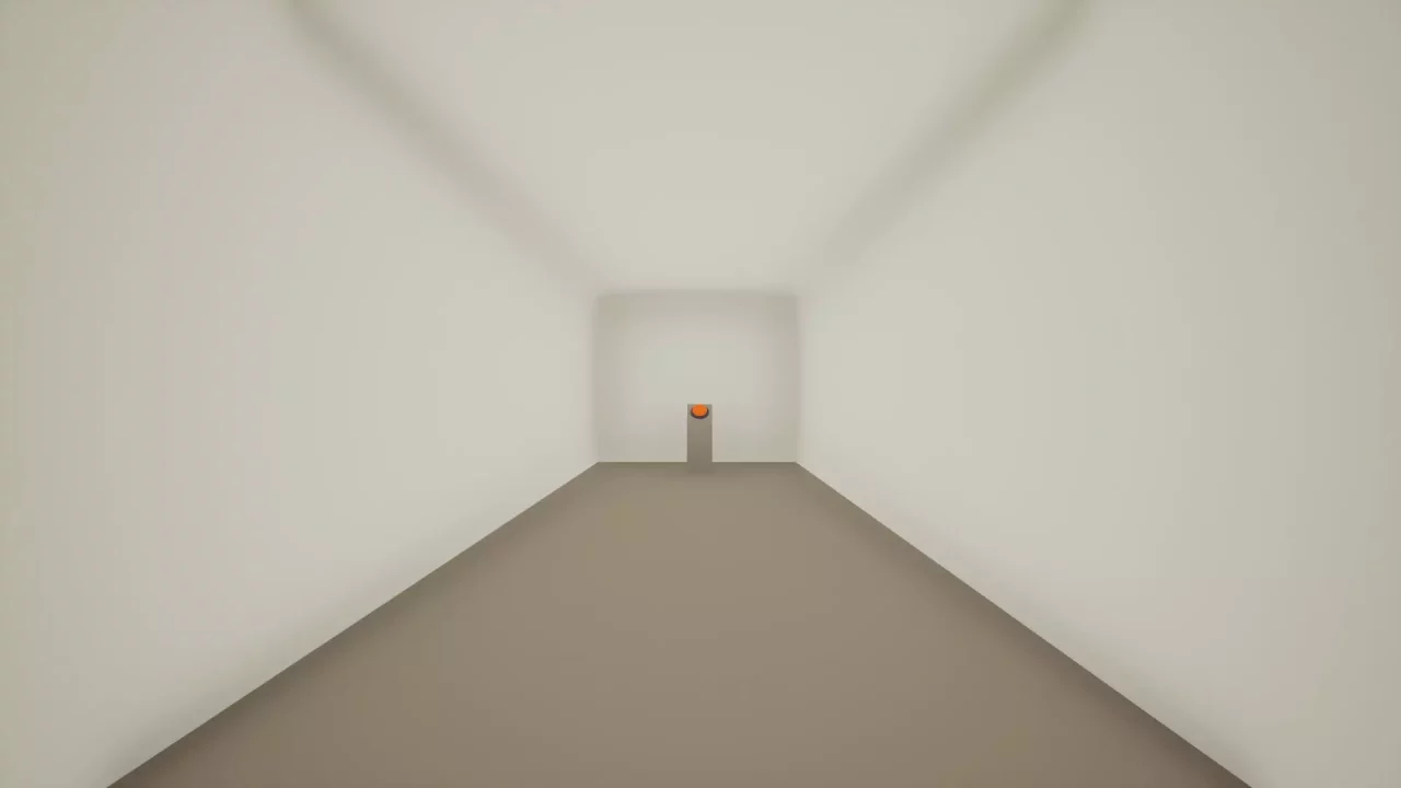 The Corridor