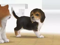 -Nintendogs: Labrador & Friends-游戏截图-好玩游戏库