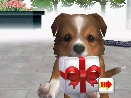 -Nintendogs: Labrador & Friends-游戏截图-好玩游戏库