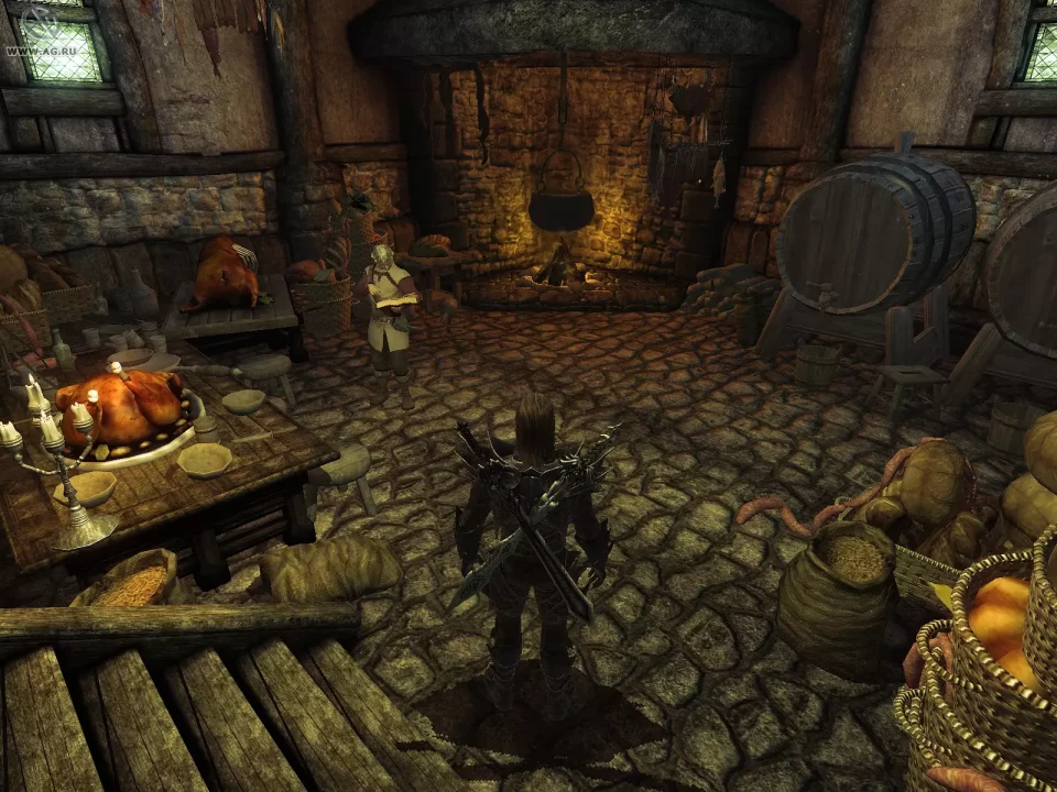 -Divinity 2: The Dragon Knight Saga-游戏截图-好玩游戏库
