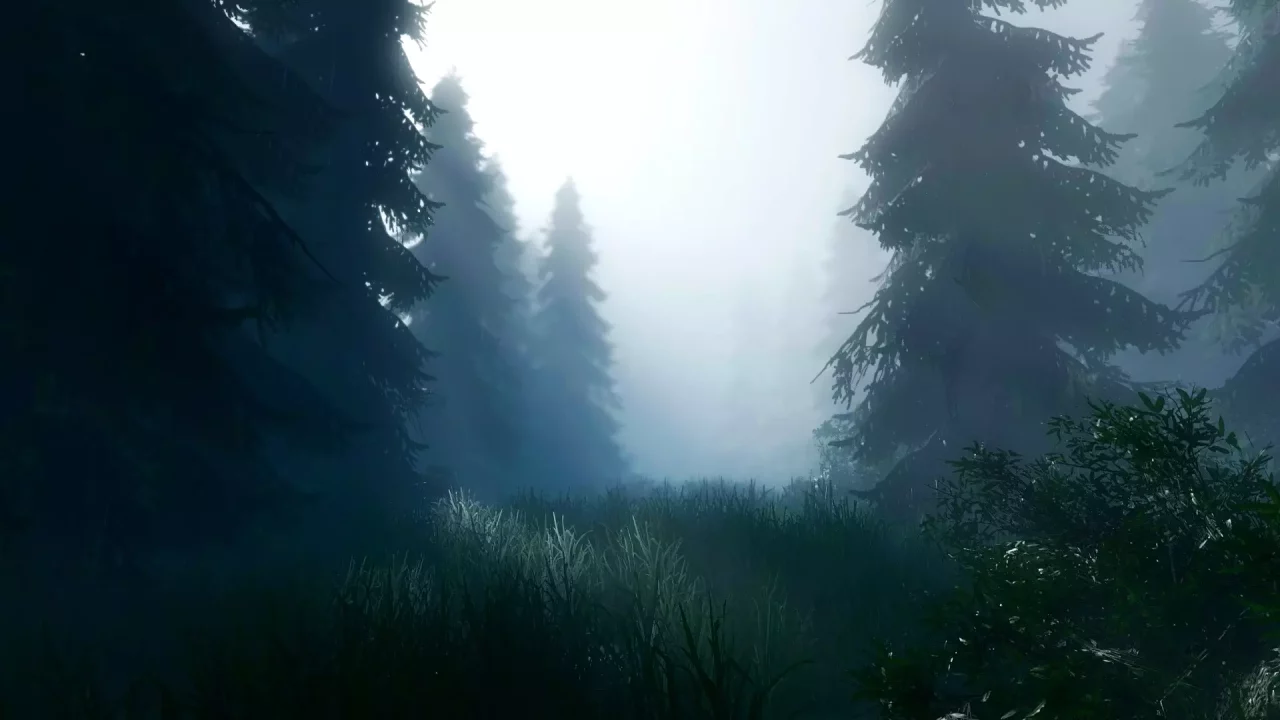 ShadowSide