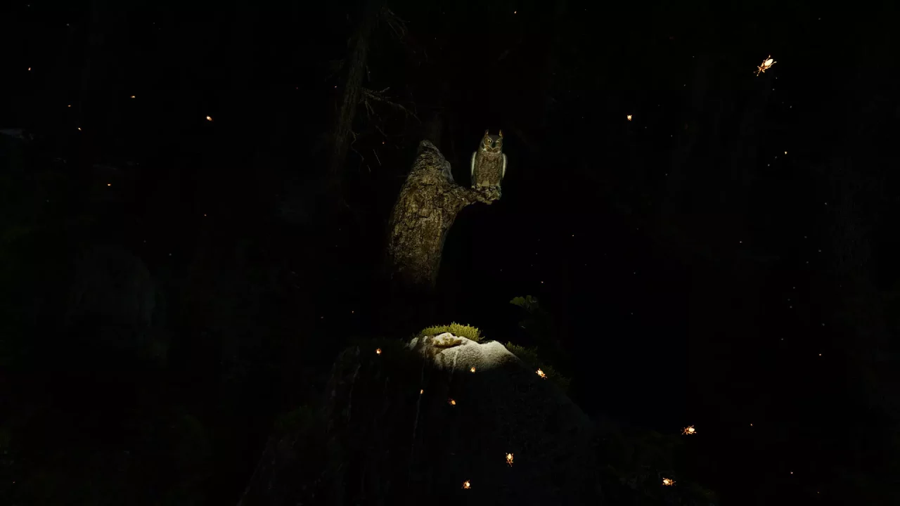 -Shinrin-yoku: Forest Meditation and Relaxation-游戏截图-好玩游戏库