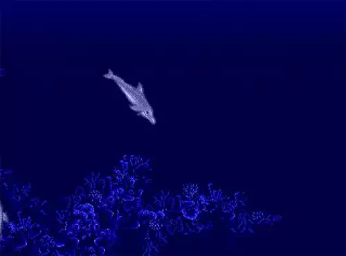 -Ecco the Dolphin-游戏截图-好玩游戏库