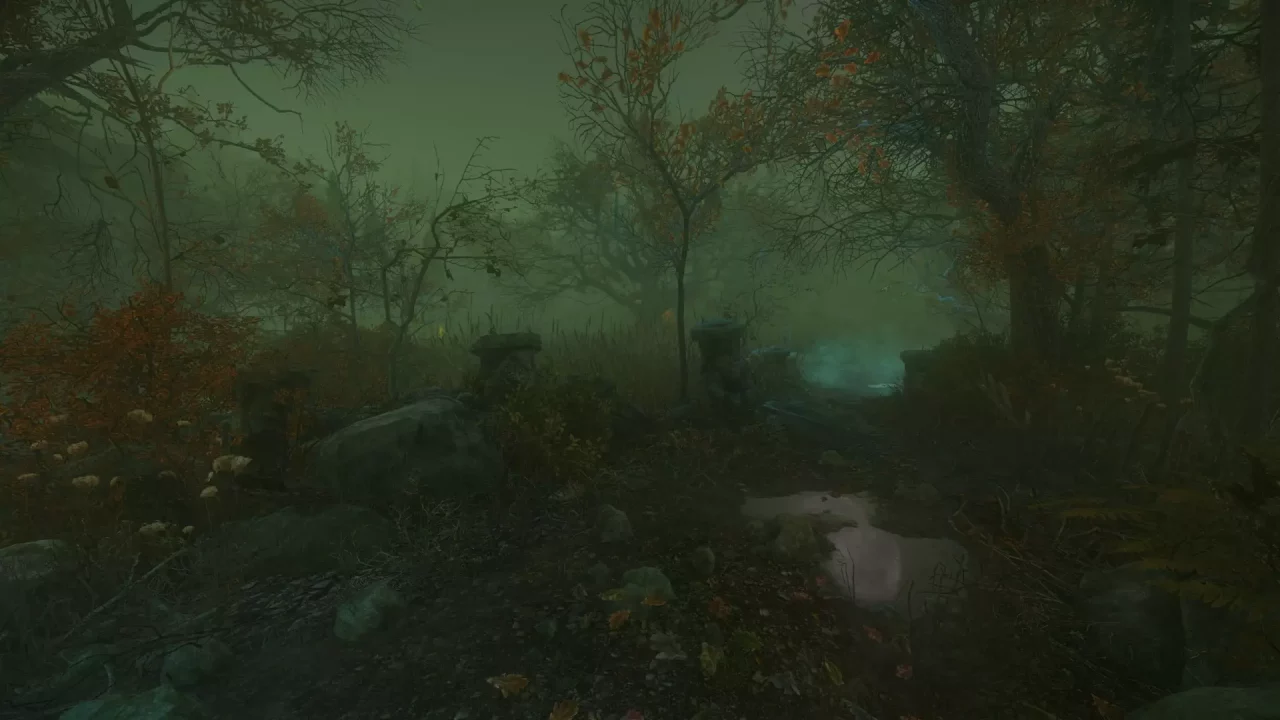 The Cursed Forest