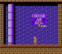 -Adventure Island II (1991)-游戏截图-好玩游戏库
