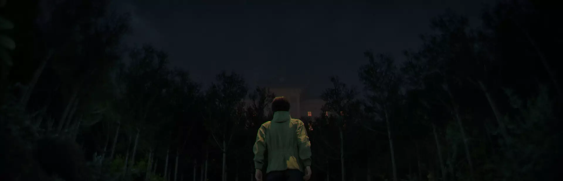 树海迷宫