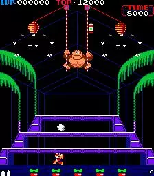 -Donkey Kong 3-游戏截图-好玩游戏库
