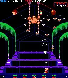 -Donkey Kong 3-游戏截图-好玩游戏库