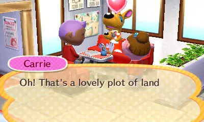 -Animal Crossing: Happy Home Designer-游戏截图-好玩游戏库