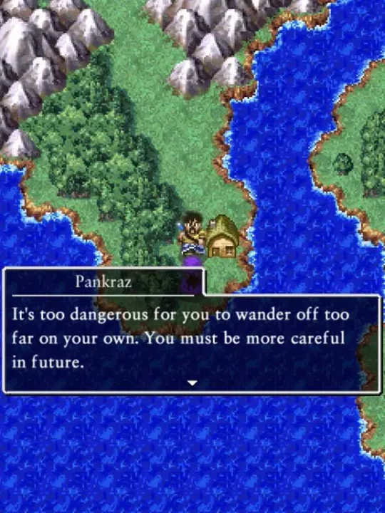 -DRAGON QUEST V-游戏截图-好玩游戏库
