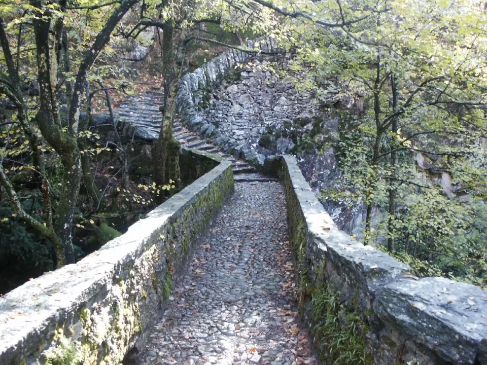 -I Misteri di Maggia-游戏截图-好玩游戏库
