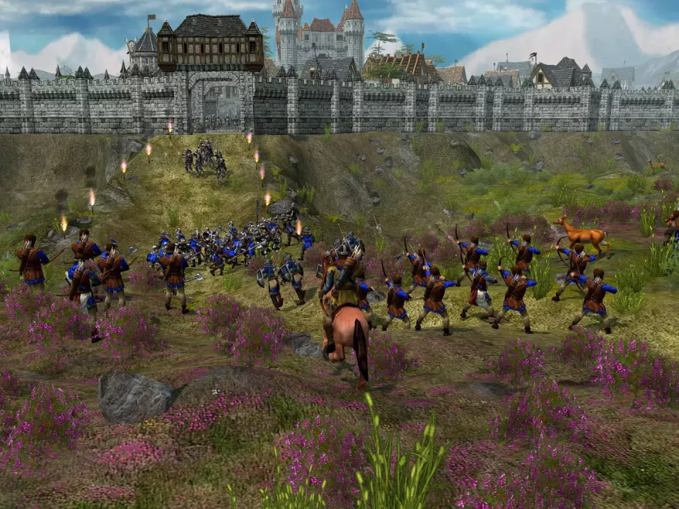 -The Settlers: Heritage of Kings-游戏截图-好玩游戏库