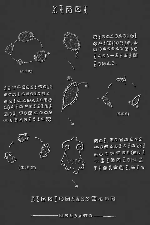 -Plankton-游戏截图-好玩游戏库
