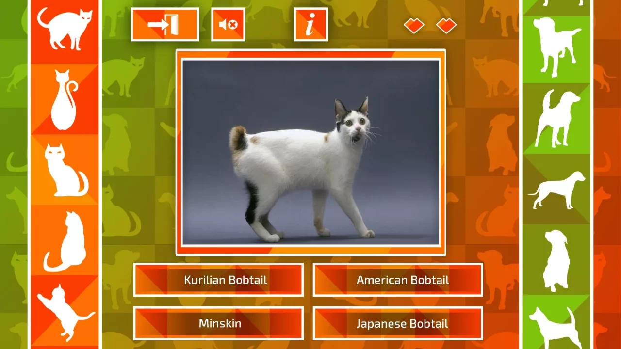 -JQ: dogs & cats-游戏截图-好玩游戏库