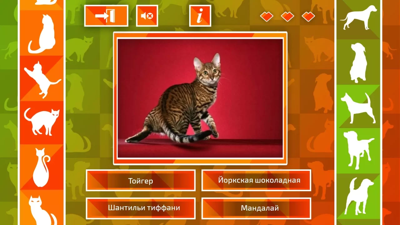 -JQ: dogs & cats-游戏截图-好玩游戏库
