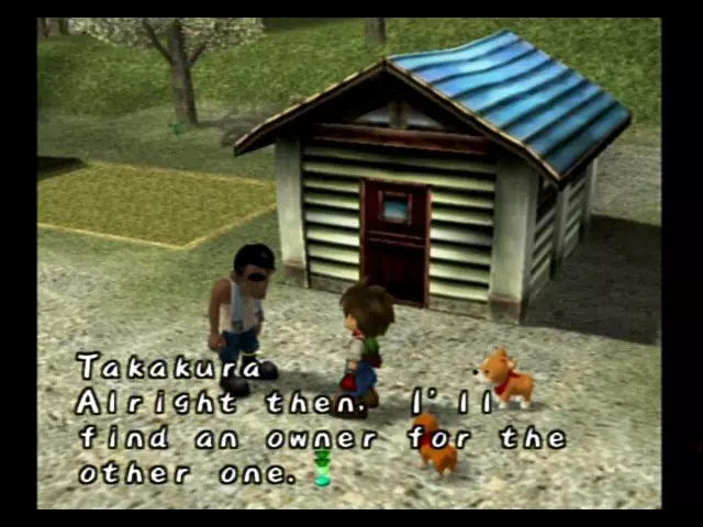 -Harvest Moon: A Wonderful Life-游戏截图-好玩游戏库