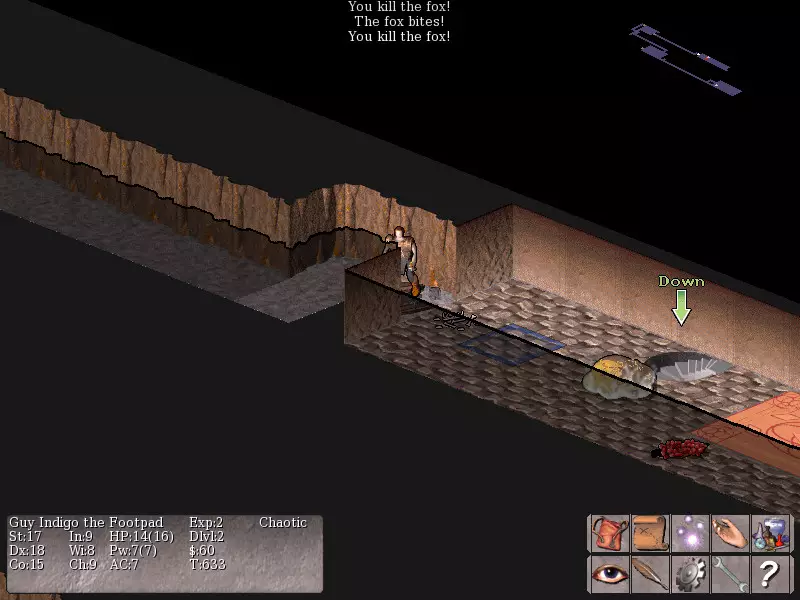 -Vulture for NetHack-游戏截图-好玩游戏库