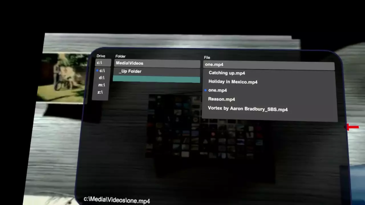 Whirligig VR Media Player