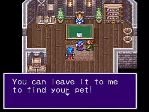 -Breath of Fire II (1994)-游戏截图-好玩游戏库