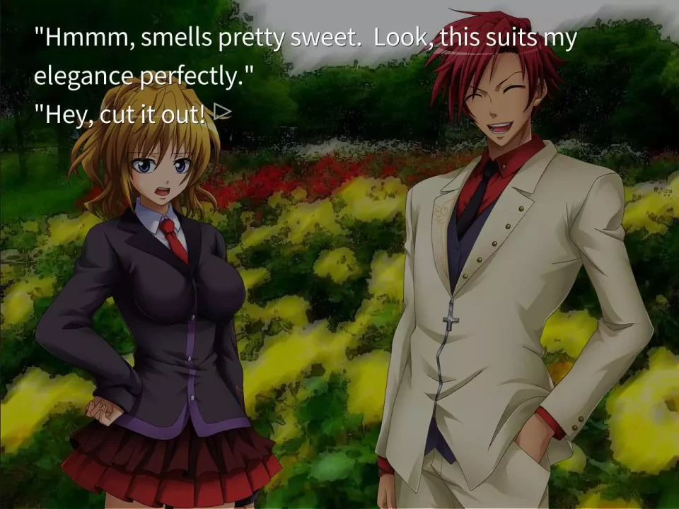 Umineko When They Cry – Question Arcs