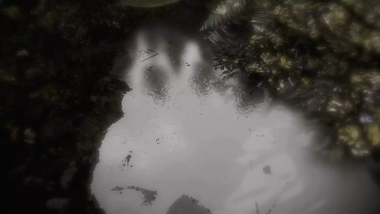 -Reflecting Fate-游戏截图-好玩游戏库