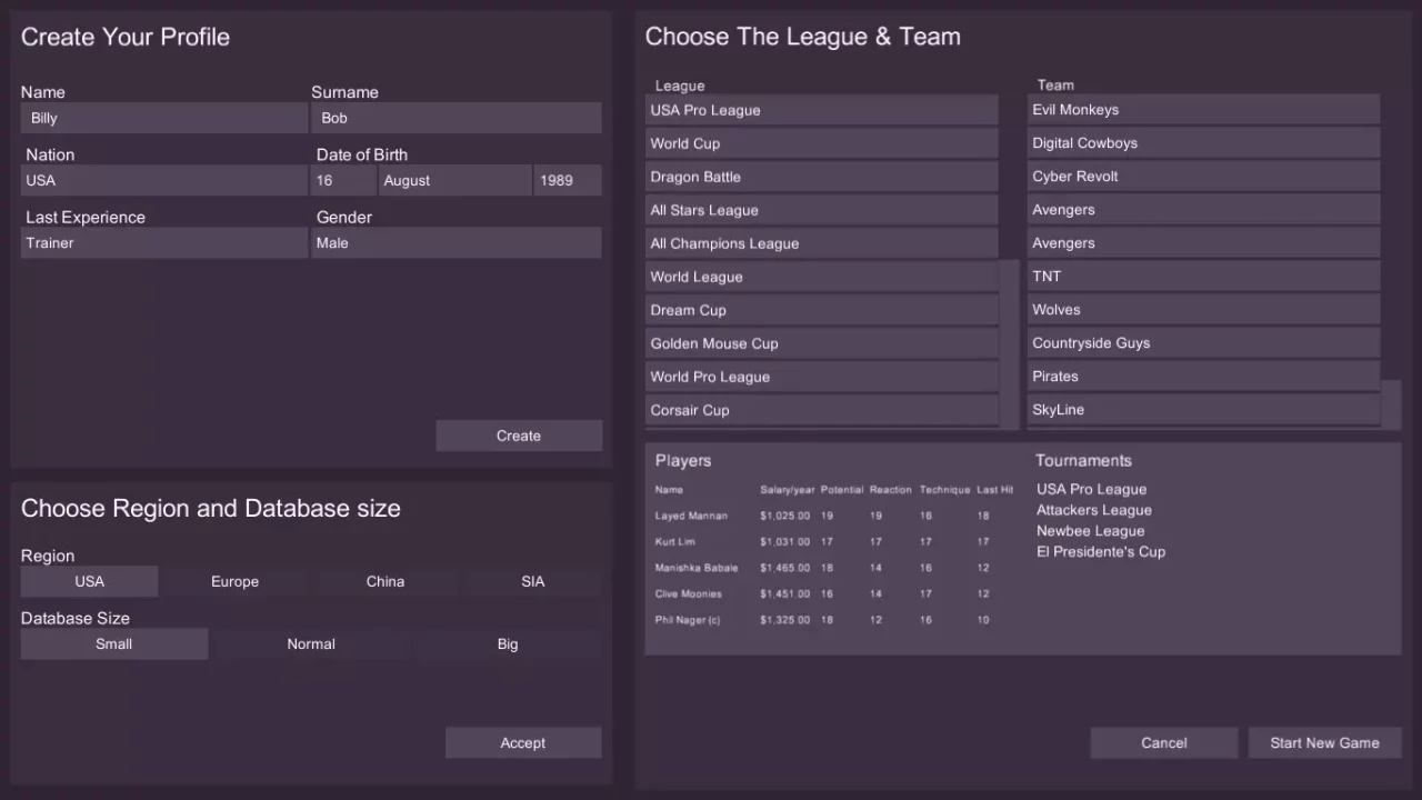 Cyber Team Manager
