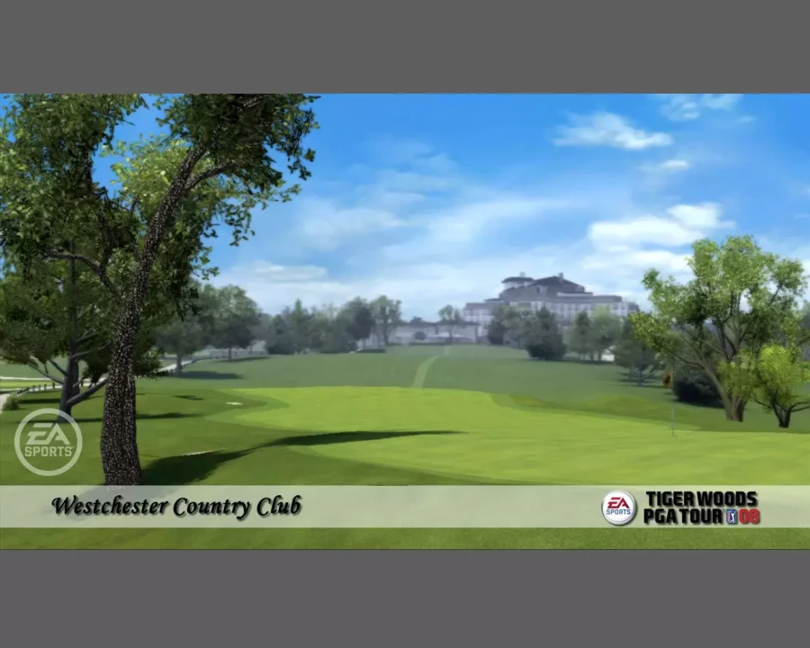 -Tiger Woods PGA Tour 08-游戏截图-好玩游戏库