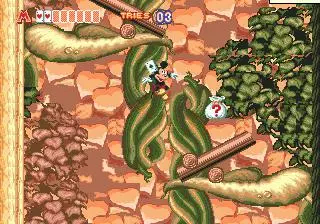 -World of Illusion Starring Mickey Mouse and Donald Duck-游戏截图-好玩游戏库