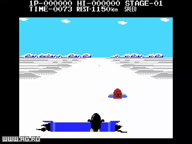 Antarctic Adventure