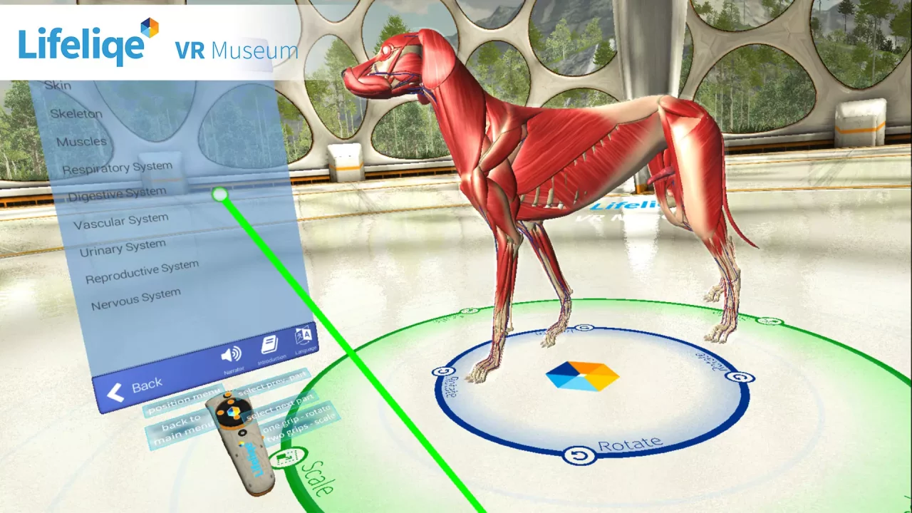 -Lifeliqe VR Museum-游戏截图-好玩游戏库