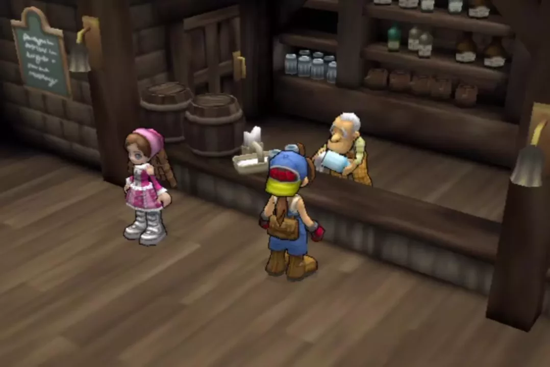 Harvest Moon: Save the Homeland