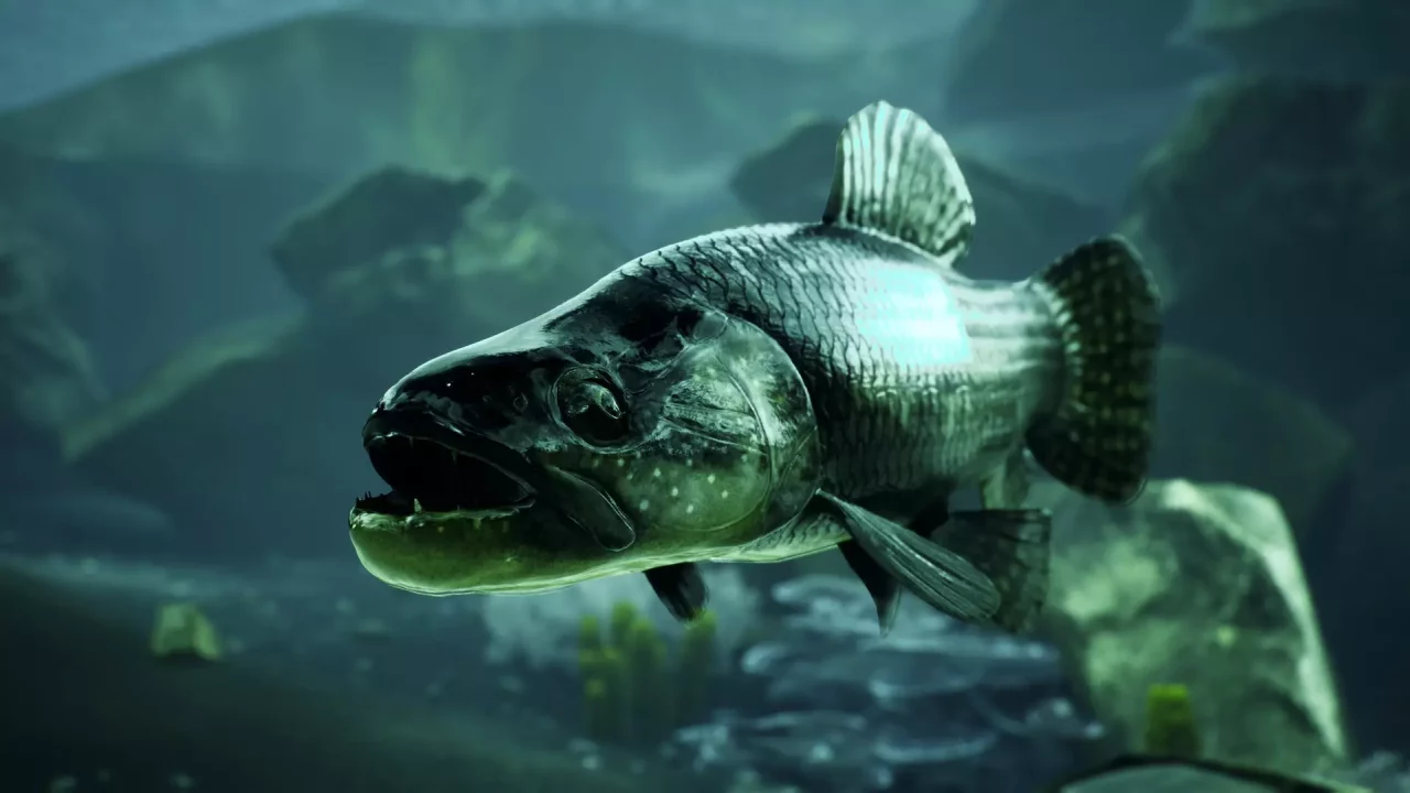 -The Catch: Carp & Coarse-游戏截图-好玩游戏库