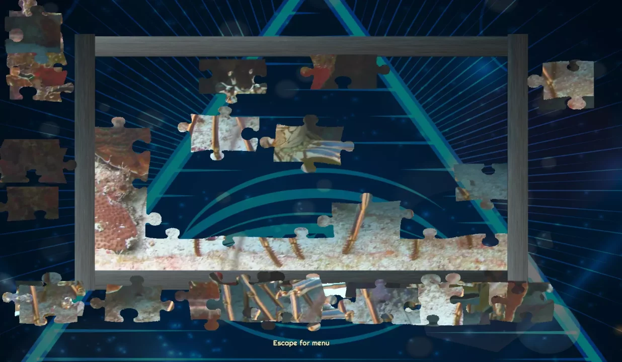 -Trials of the Illuminati: Sea Creatures Jigsaws-游戏截图-好玩游戏库