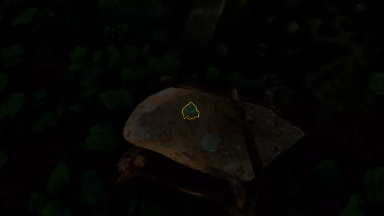 Journey Of Life