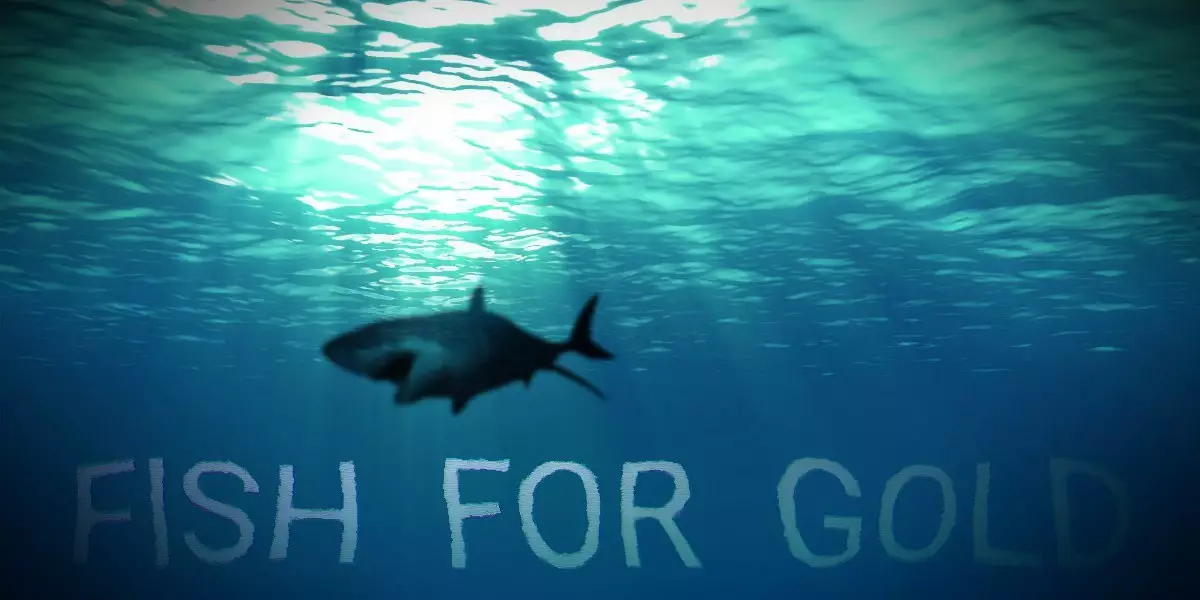 -Fish for gold-游戏截图-好玩游戏库
