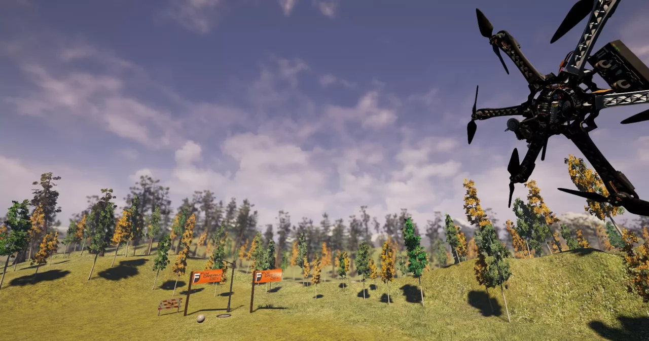 Copter and Sky