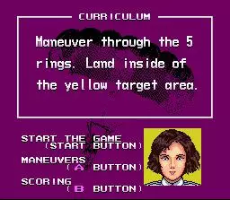 -Pilotwings (1990)-游戏截图-好玩游戏库
