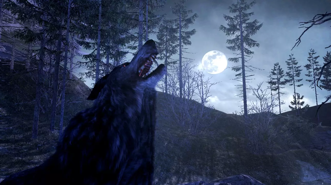 -Cabela's Dangerous Hunts 2011-游戏截图-好玩游戏库