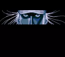 -Fatal Fury: King of Fighters-游戏截图-好玩游戏库