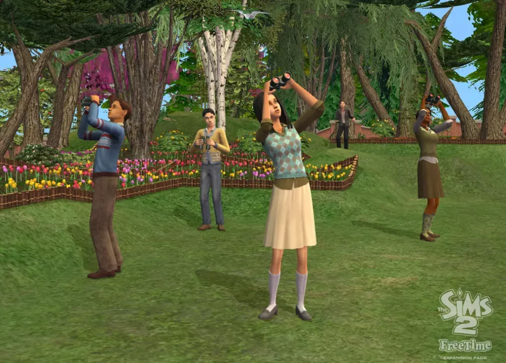 The Sims 2: FreeTime