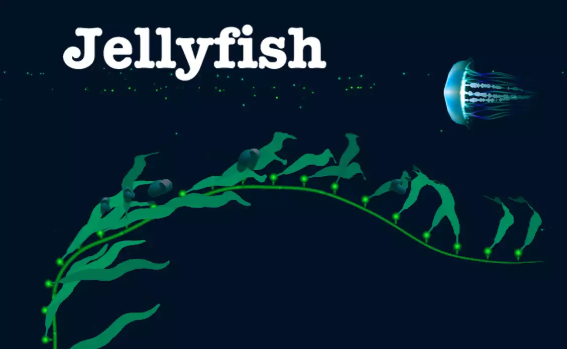 Jellyfish