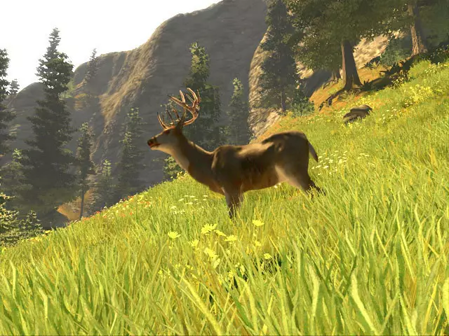 -Cabela's Big Game Hunter Trophy Bucks-游戏截图-好玩游戏库