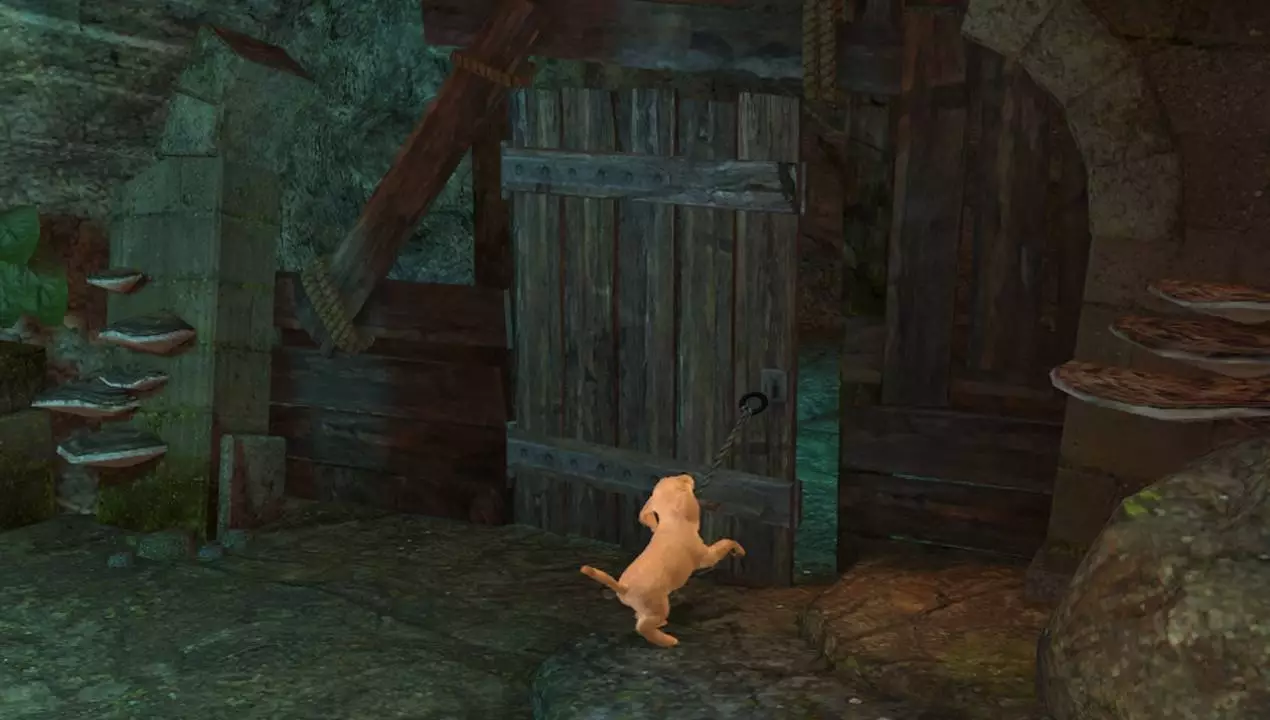 -Playstation Vita Pets-游戏截图-好玩游戏库