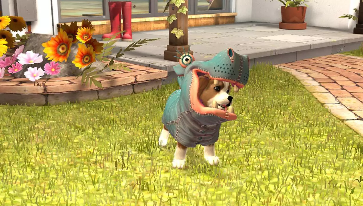-Playstation Vita Pets-游戏截图-好玩游戏库