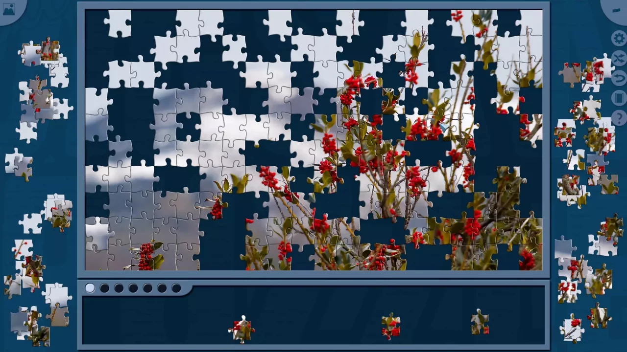 -Super Jigsaw Puzzle-游戏截图-好玩游戏库