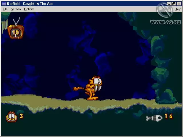 Garfield: Caught in the Act